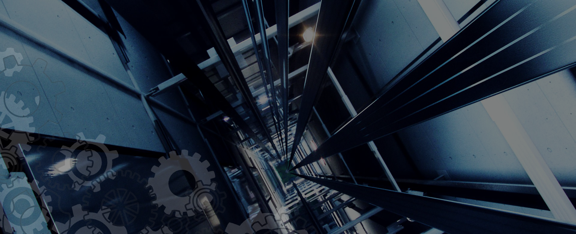 Greenplanet Years in the Industry